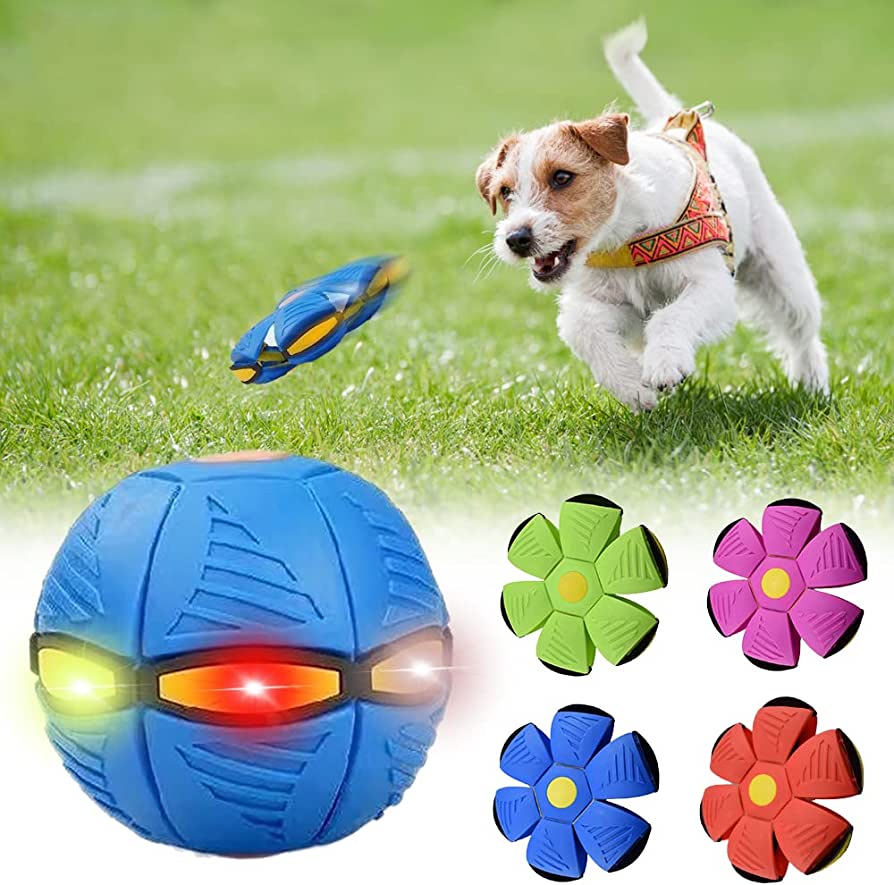 Dog Ball - Jouet pour chien interactif