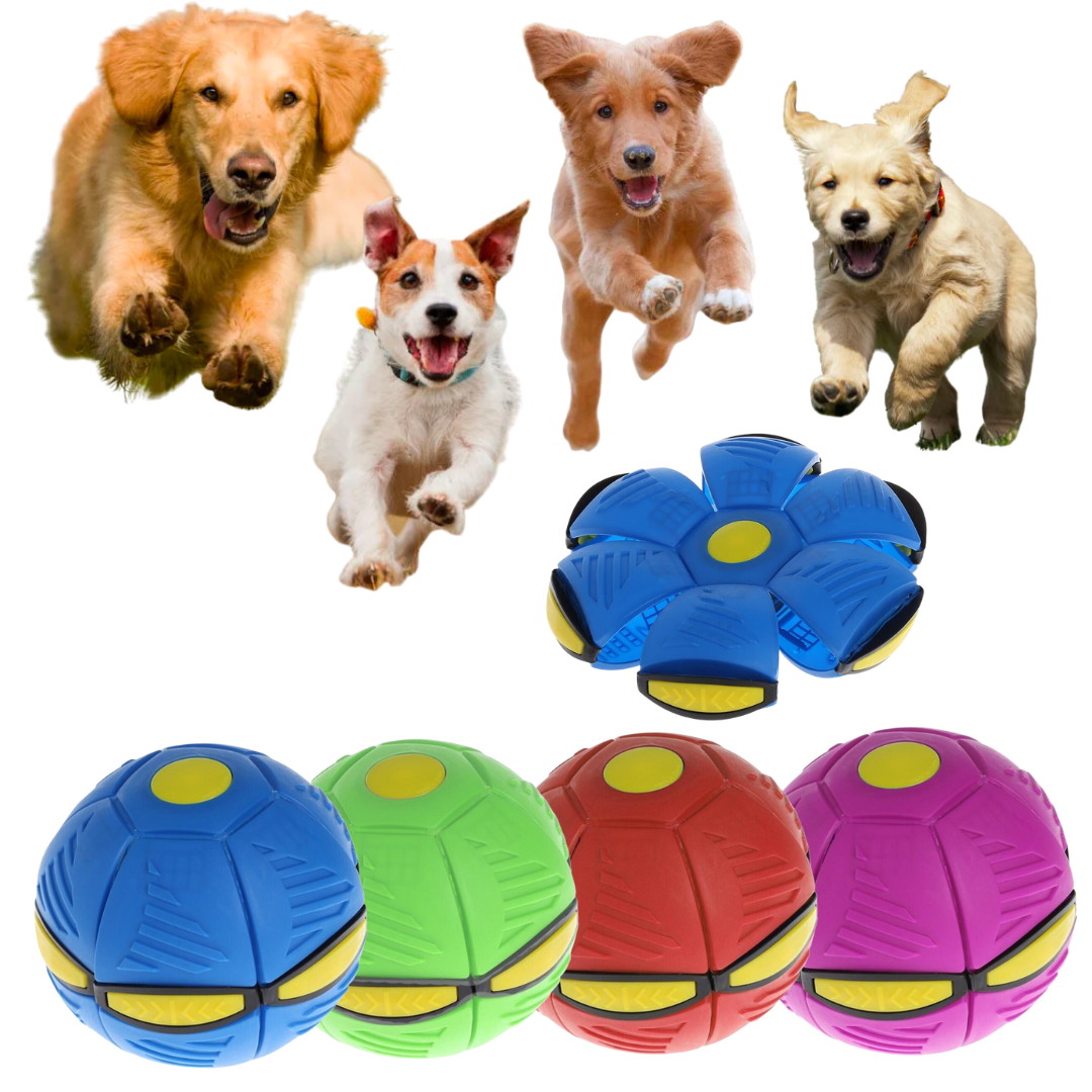 Dog Ball - Jouet pour chien interactif